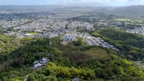 Pr 7784 Km 1.0 Turabo Caguas PR 00725