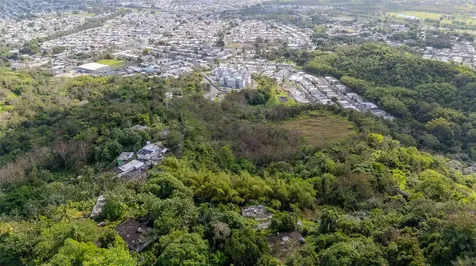 Pr 7784 Km 1.0 Turabo Caguas PR 00725