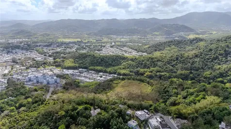 Pr 7784 Km 1.0 Turabo Caguas PR 00725