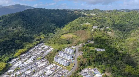 Pr 7784 Km 1.0 Turabo Caguas PR 00725