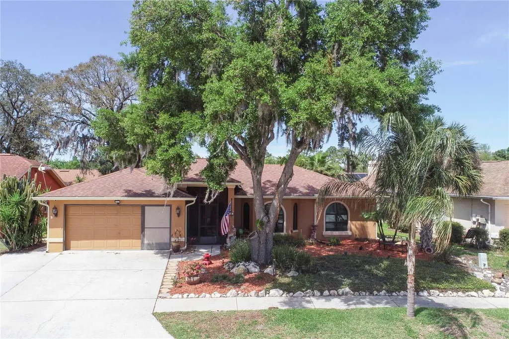 5641 Mossberg Drive New Port Richey FL 34655