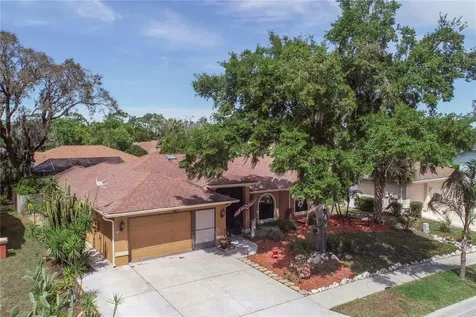 5641 Mossberg Drive New Port Richey FL 34655