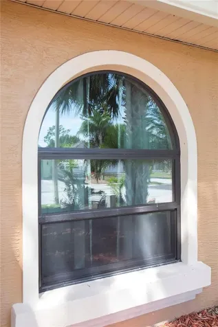 5641 Mossberg Drive New Port Richey FL 34655