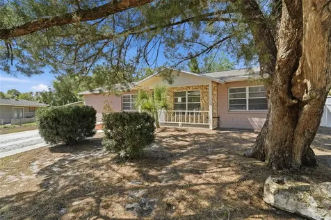 1102 Bellini Lane Ocoee FL 34761