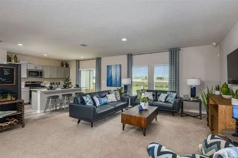 15237 Maude Landing Loop Wimauma FL 33598