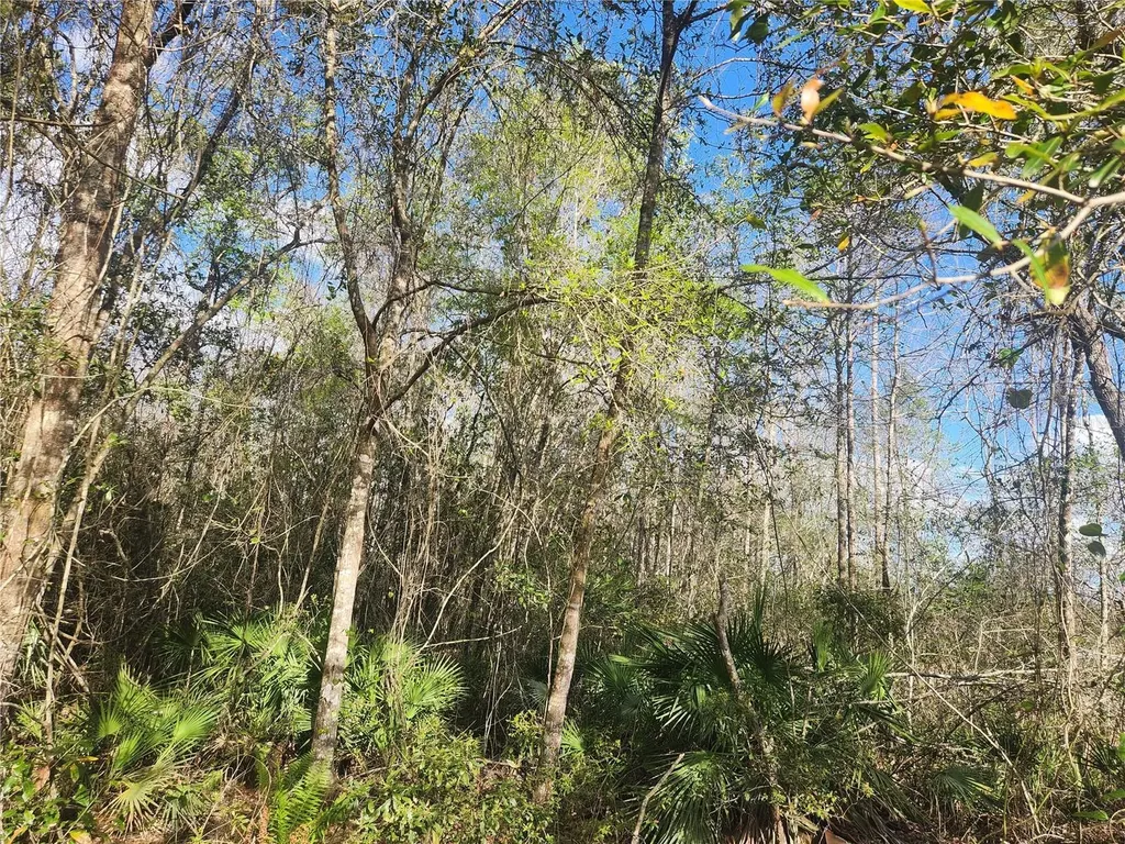 2355 SE State Road 100 Starke FL 32091