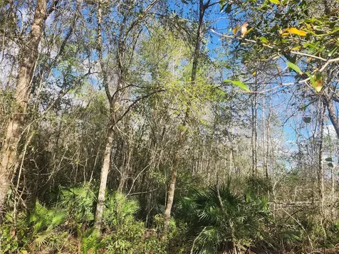 2355 SE State Road 100 Starke FL 32091