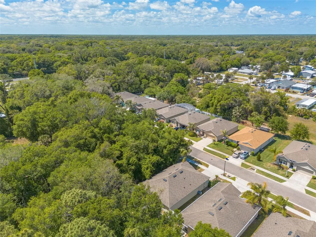 116 Fishermans Cove Drive Edgewater FL 32141