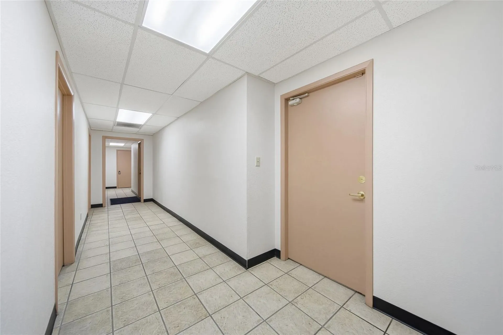 104 E Fowler Avenue Tampa FL 33612