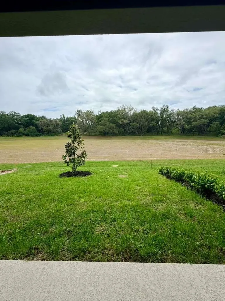 1208 Turtle Island Road Lady Lake FL 32159