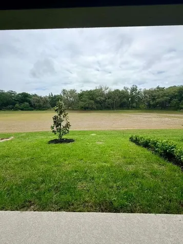 1208 Turtle Island Road Lady Lake FL 32159