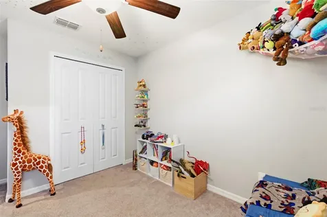 13307 Willow Bluestar Loop Riverview FL 33579