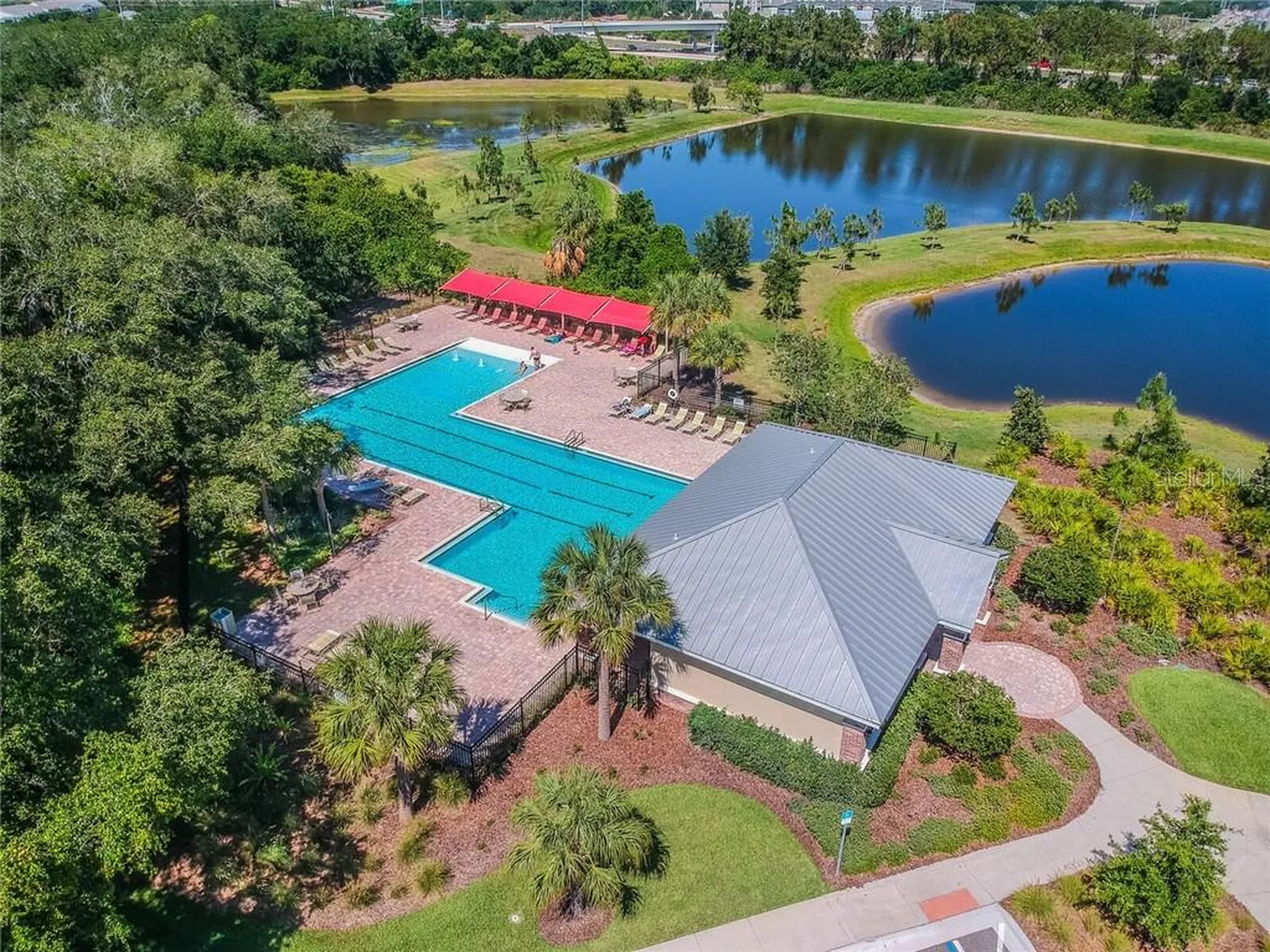 5014 White Sanderling Court Tampa FL 33619