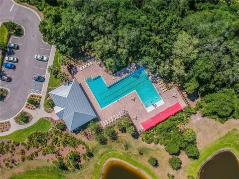 5014 White Sanderling Court Tampa FL 33619
