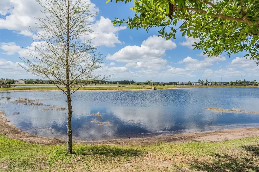 19219 Blue Pond Drive Lutz FL 33558