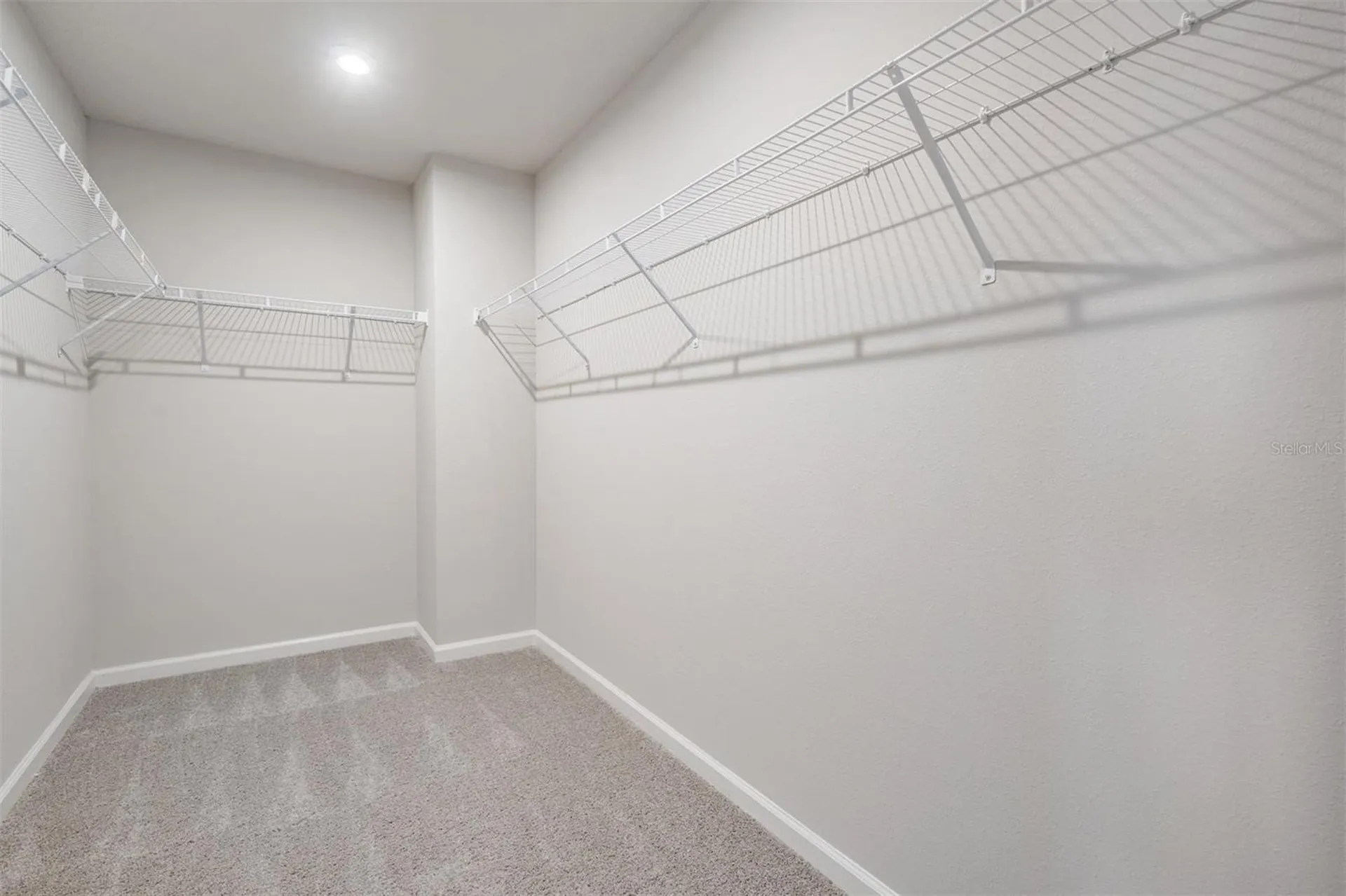 19219 Blue Pond Drive Lutz FL 33558