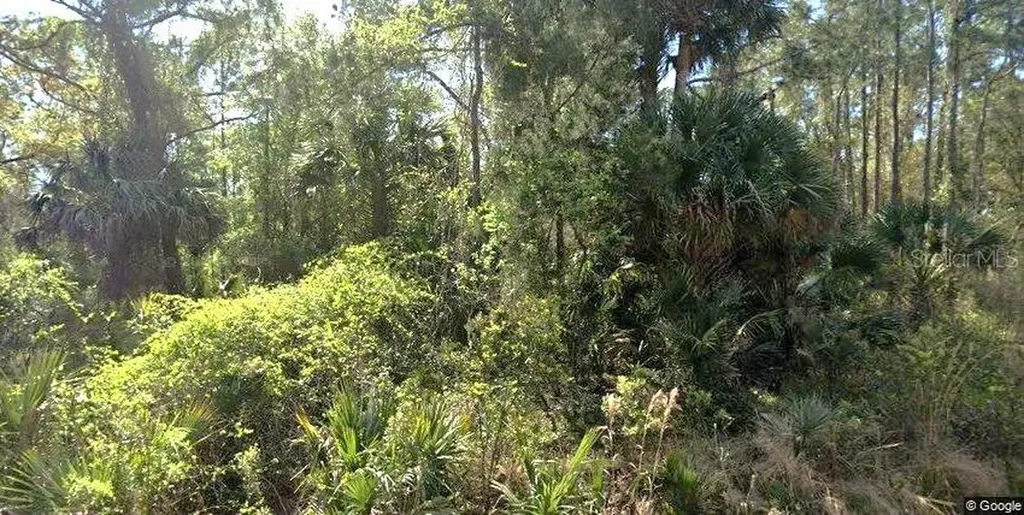 111 Edgewood Drive Georgetown FL 32139