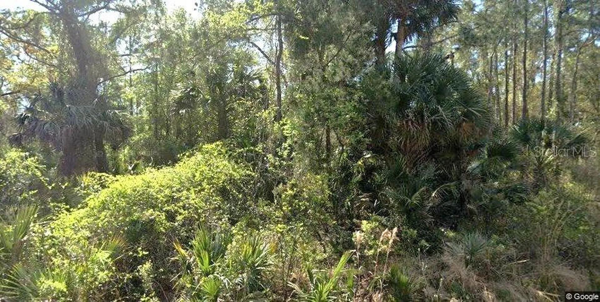 111 Edgewood Drive Georgetown FL 32139