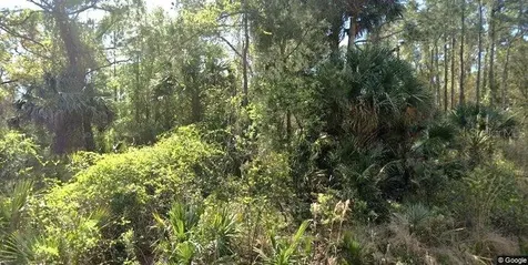 111 Edgewood Drive Georgetown FL 32139