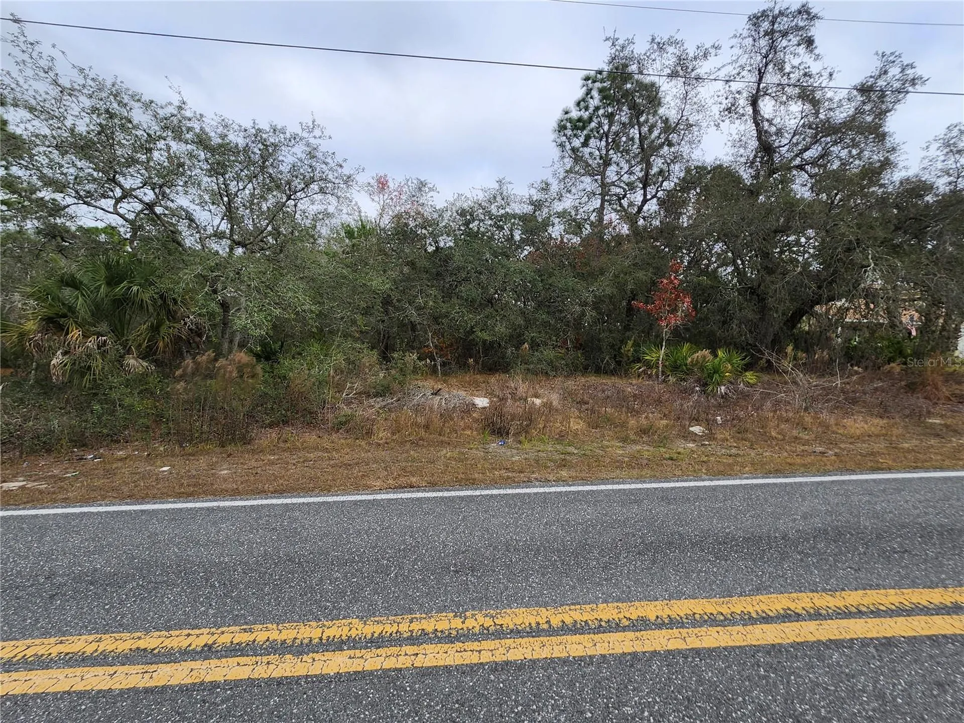 10548 Noddy Tern Road Weeki Wachee FL 34613