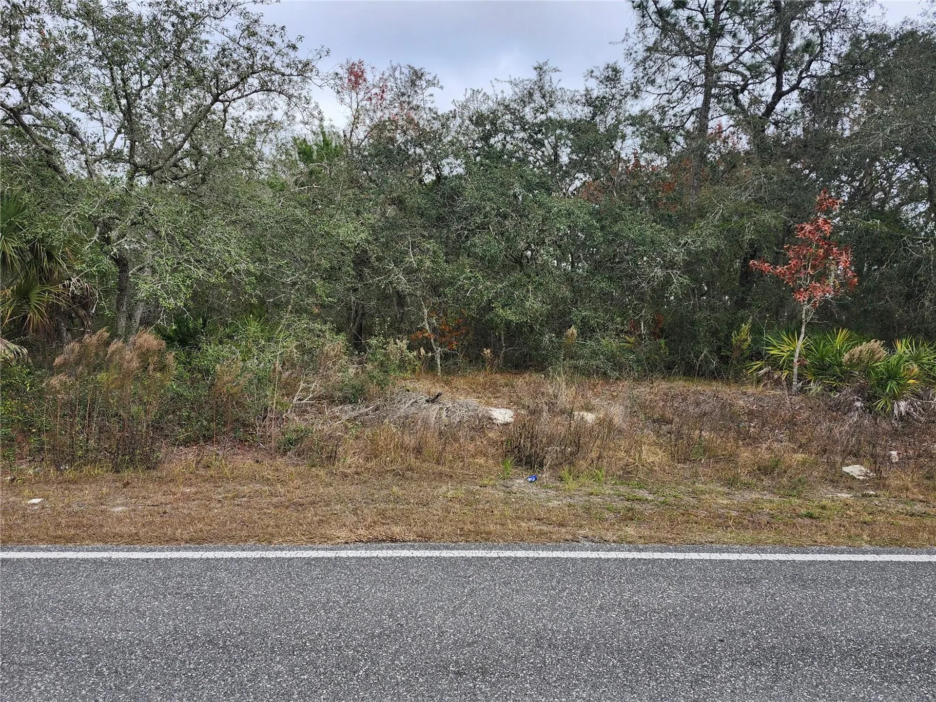 10548 Noddy Tern Road Weeki Wachee FL 34613
