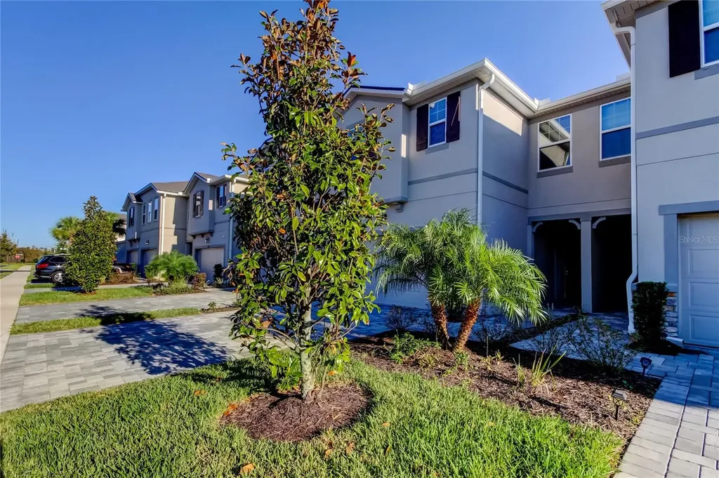 19388 Great Intention Way Lutz FL 33558