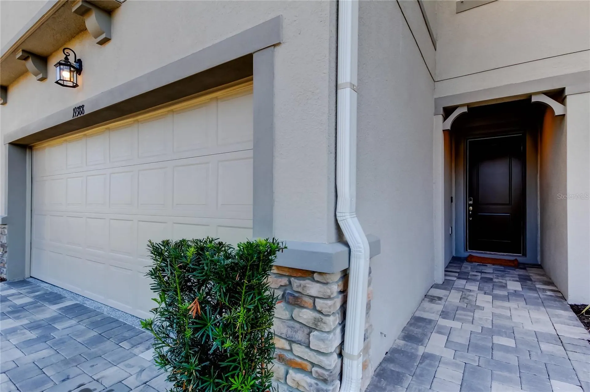 19388 Great Intention Way Lutz FL 33558