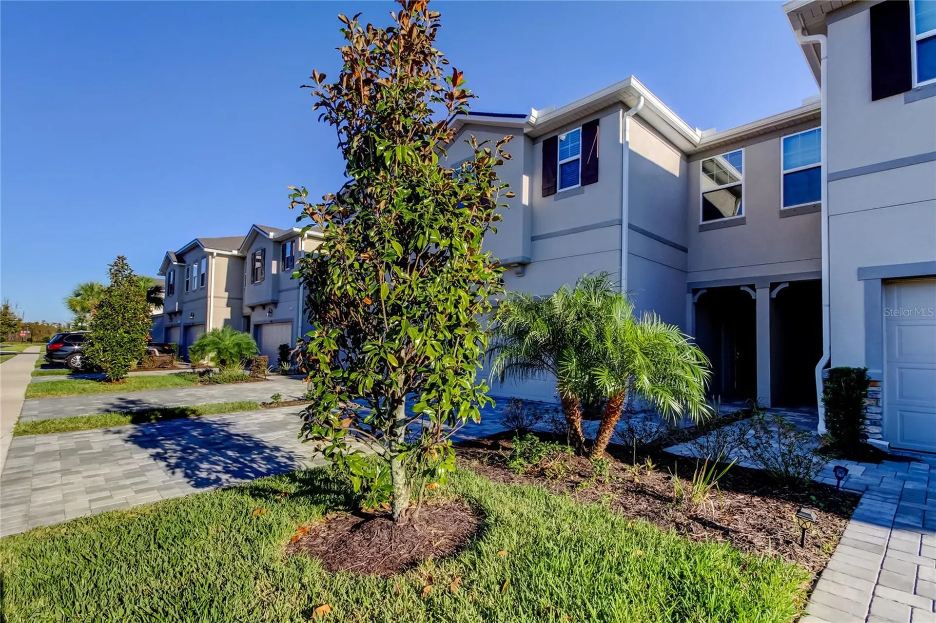 19388 Great Intention Way Lutz FL 33558