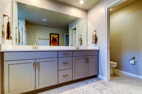 19388 Great Intention Way Lutz FL 33558
