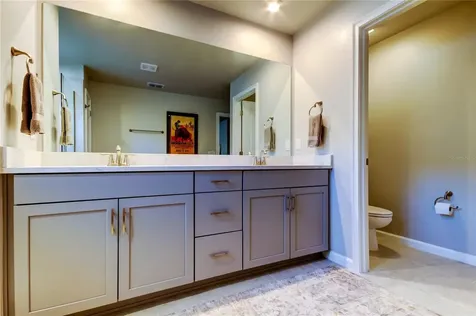 19388 Great Intention Way Lutz FL 33558