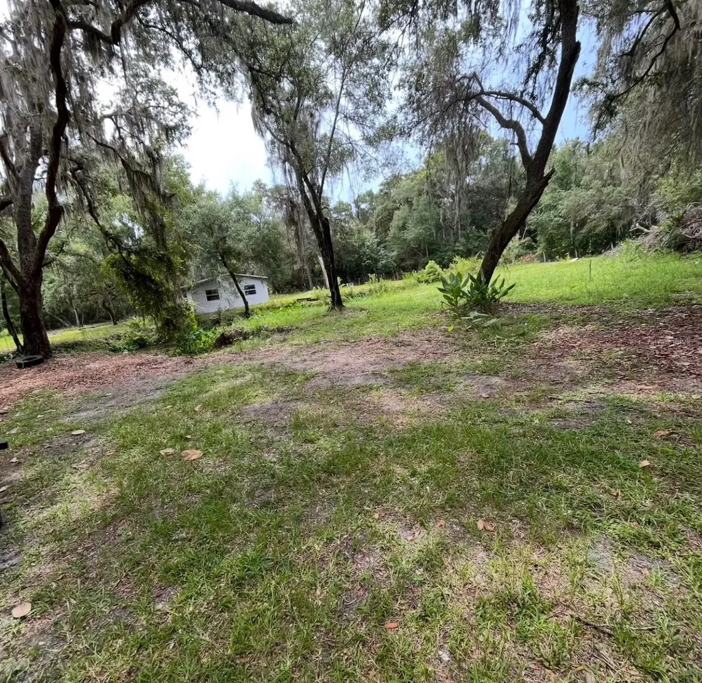 18625 NE 238th Terrace Fort Mc Coy FL 32134