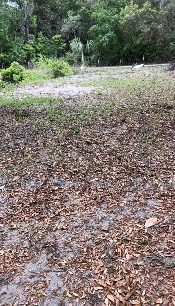 18625 NE 238th Terrace Fort Mc Coy FL 32134