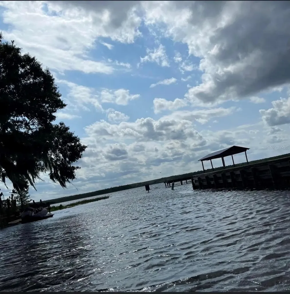 18625 NE 238th Terrace Fort Mc Coy FL 32134