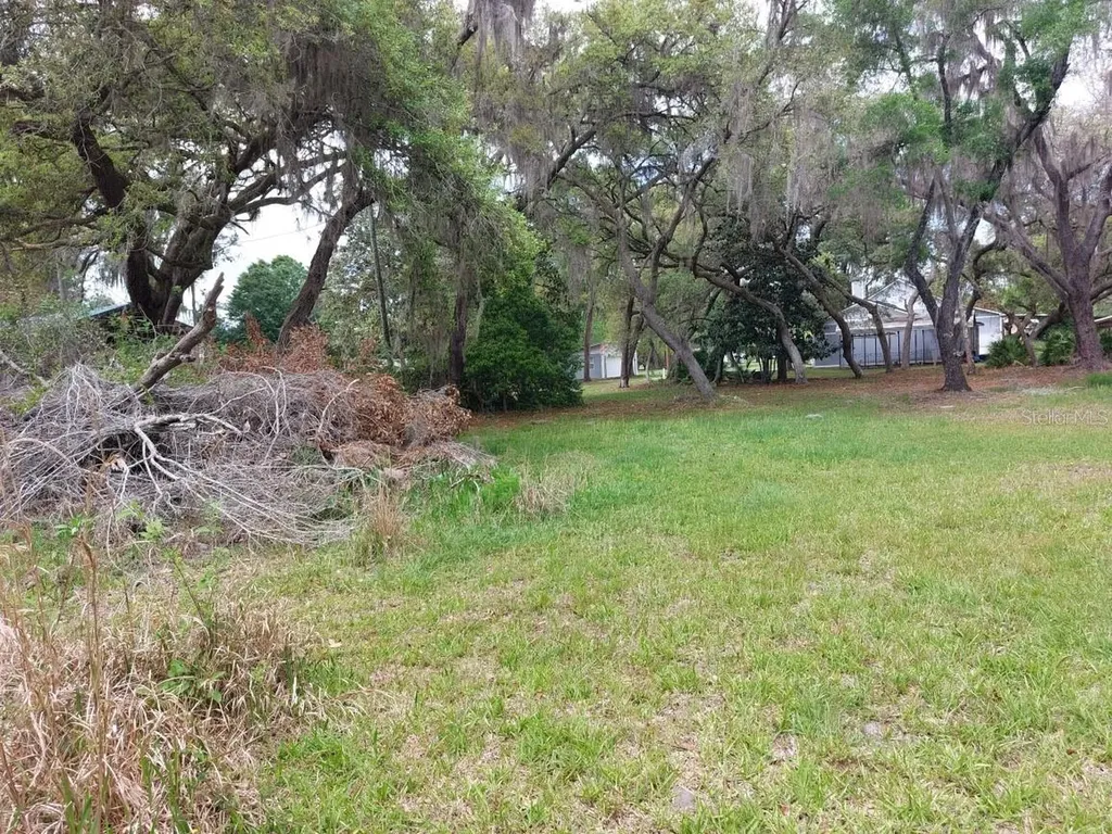 18625 NE 238th Terrace Fort Mc Coy FL 32134