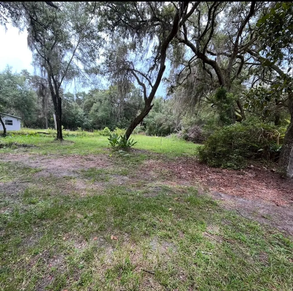 18625 NE 238th Terrace Fort Mc Coy FL 32134