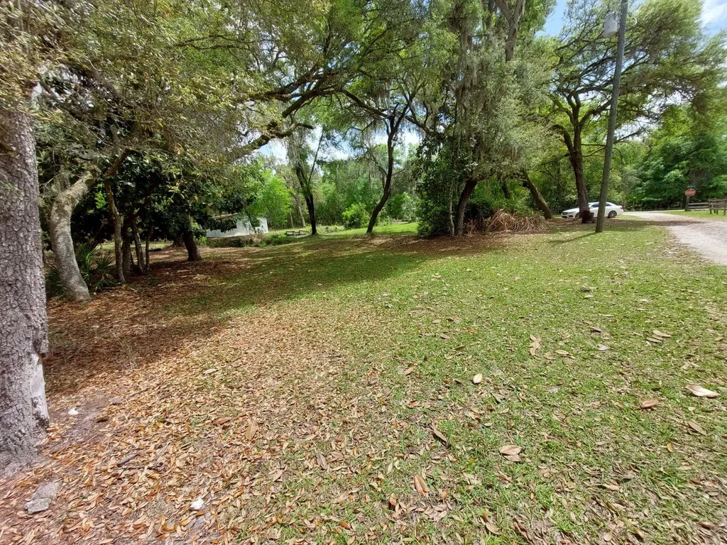 18625 NE 238th Terrace Fort Mc Coy FL 32134