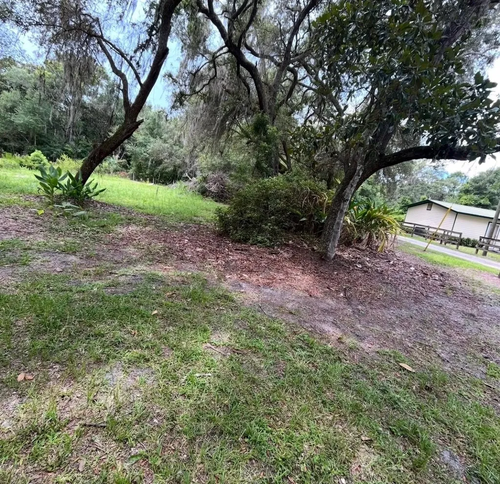 18625 NE 238th Terrace Fort Mc Coy FL 32134