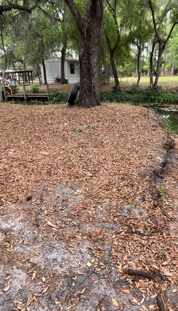 18625 NE 238th Terrace Fort Mc Coy FL 32134
