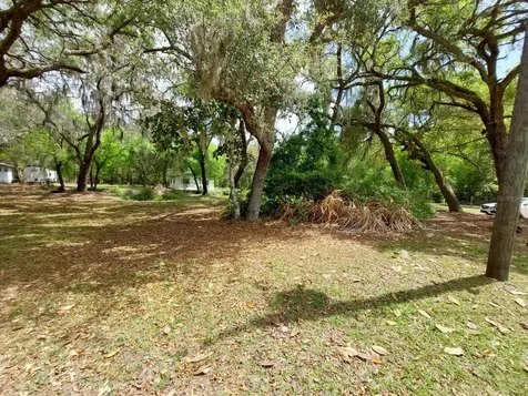 18625 NE 238th Terrace Fort Mc Coy FL 32134