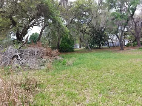 18625 NE 238th Terrace Fort Mc Coy FL 32134