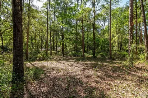 9917 SW 77th Court Gainesville FL 32608