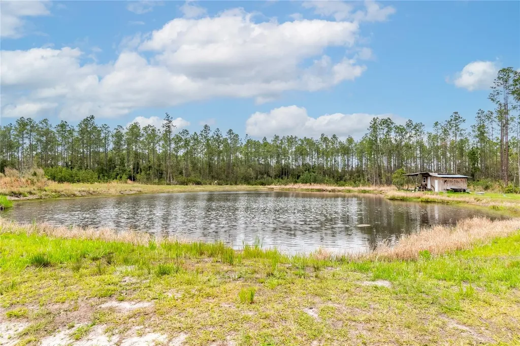 12655 NE 215th Street Fort Mc Coy FL 32134