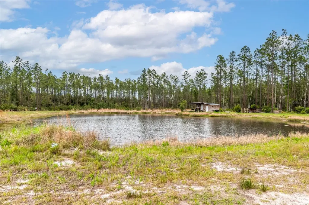 12655 NE 215th Street Fort Mc Coy FL 32134