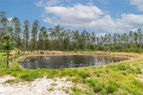 12655 NE 215th Street Fort Mc Coy FL 32134