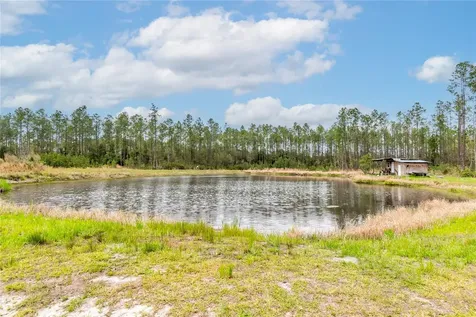 12655 NE 215th Street Fort Mc Coy FL 32134