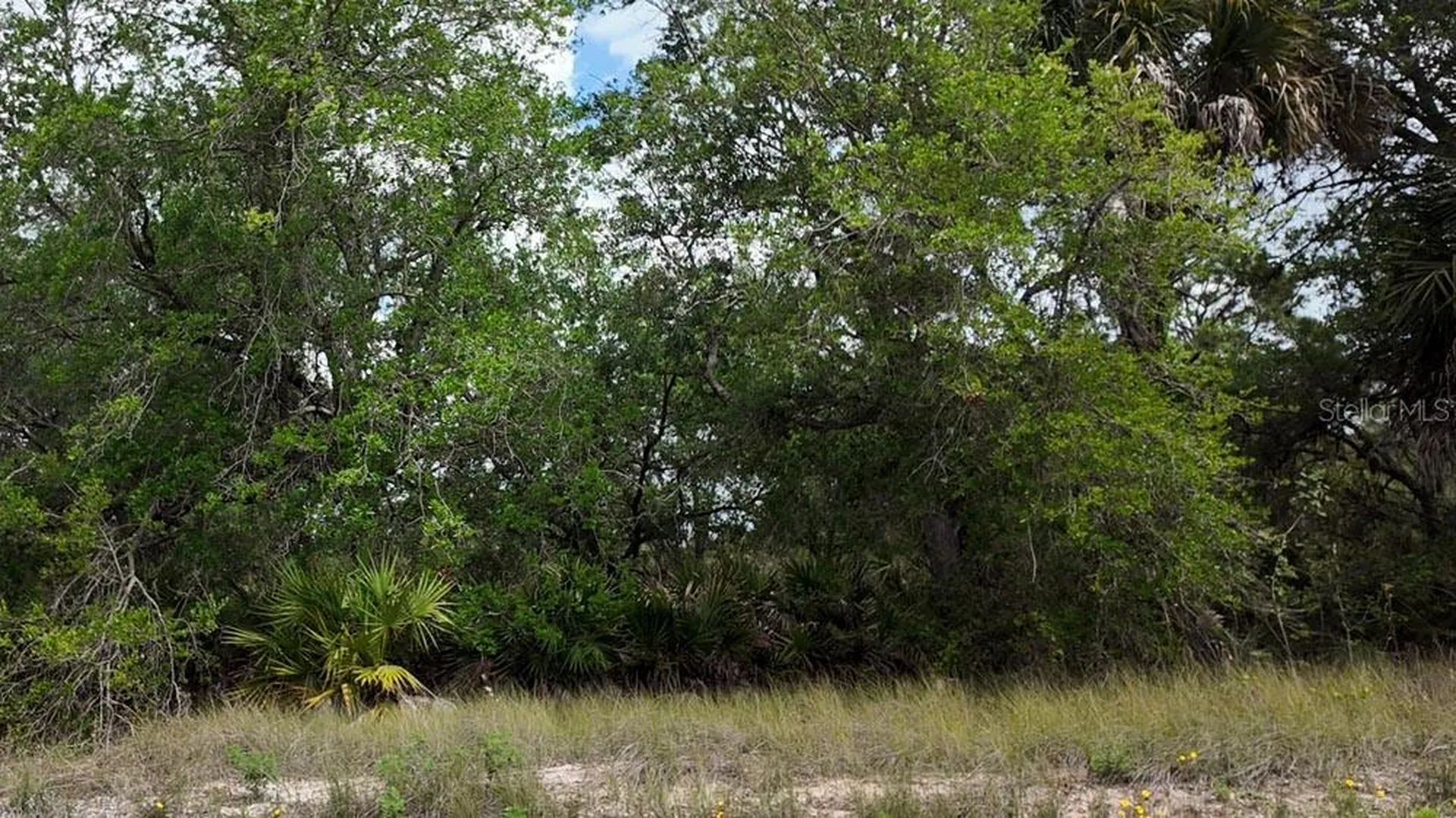 3104 51st Street W Lehigh Acres FL 33971