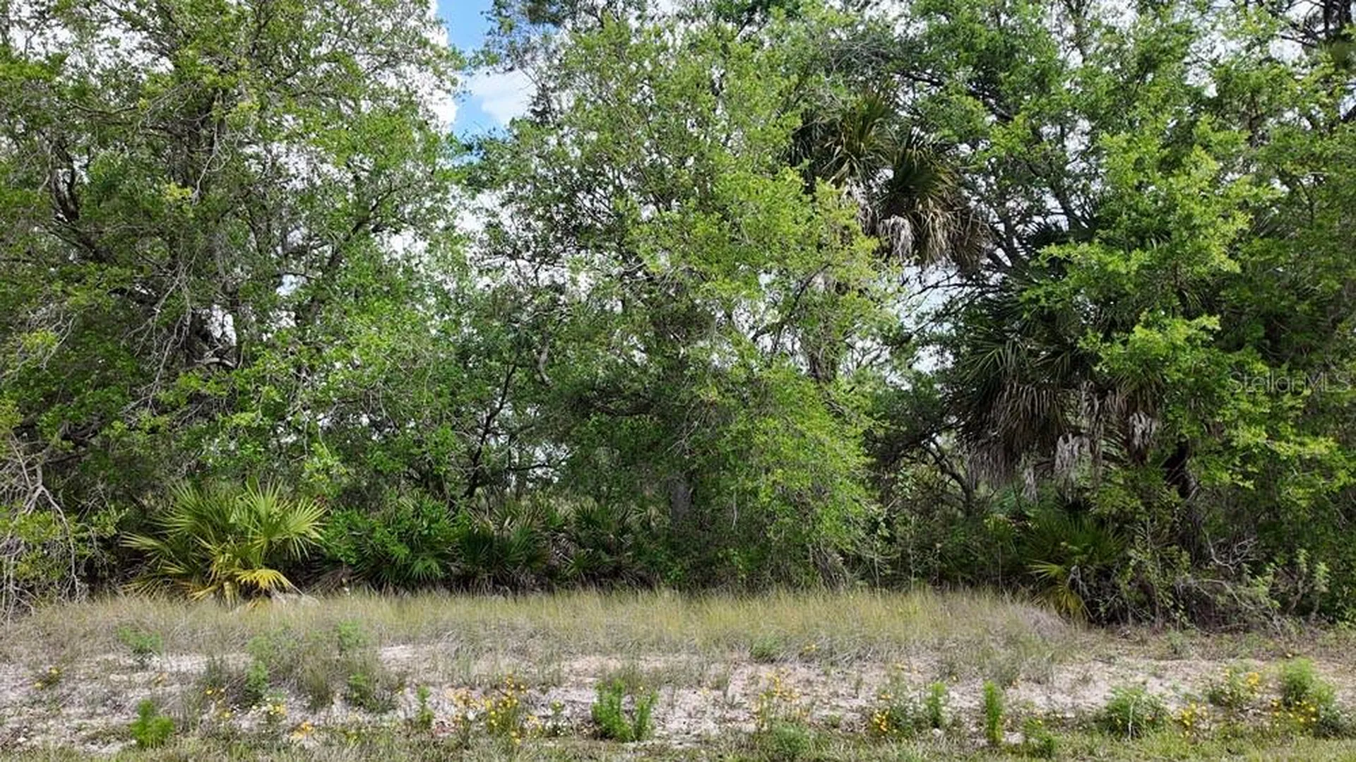 3104 51st Street W Lehigh Acres FL 33971