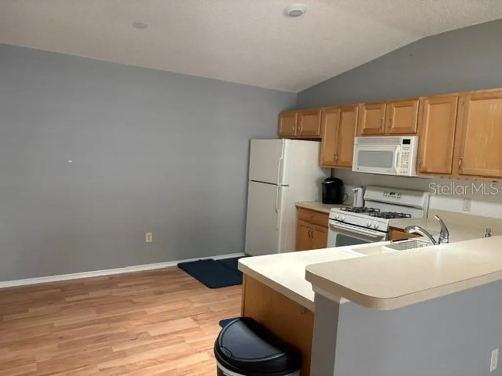1639 S Allendale Place The Villages FL 32162