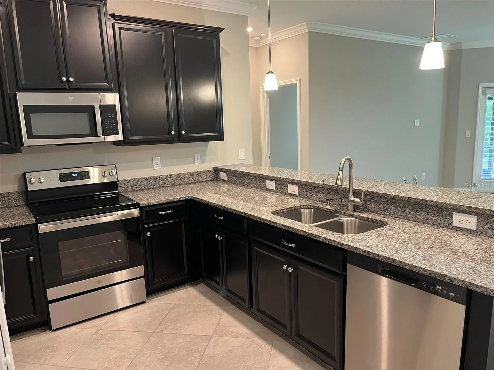 1712 Roseville Street Lutz FL 33549