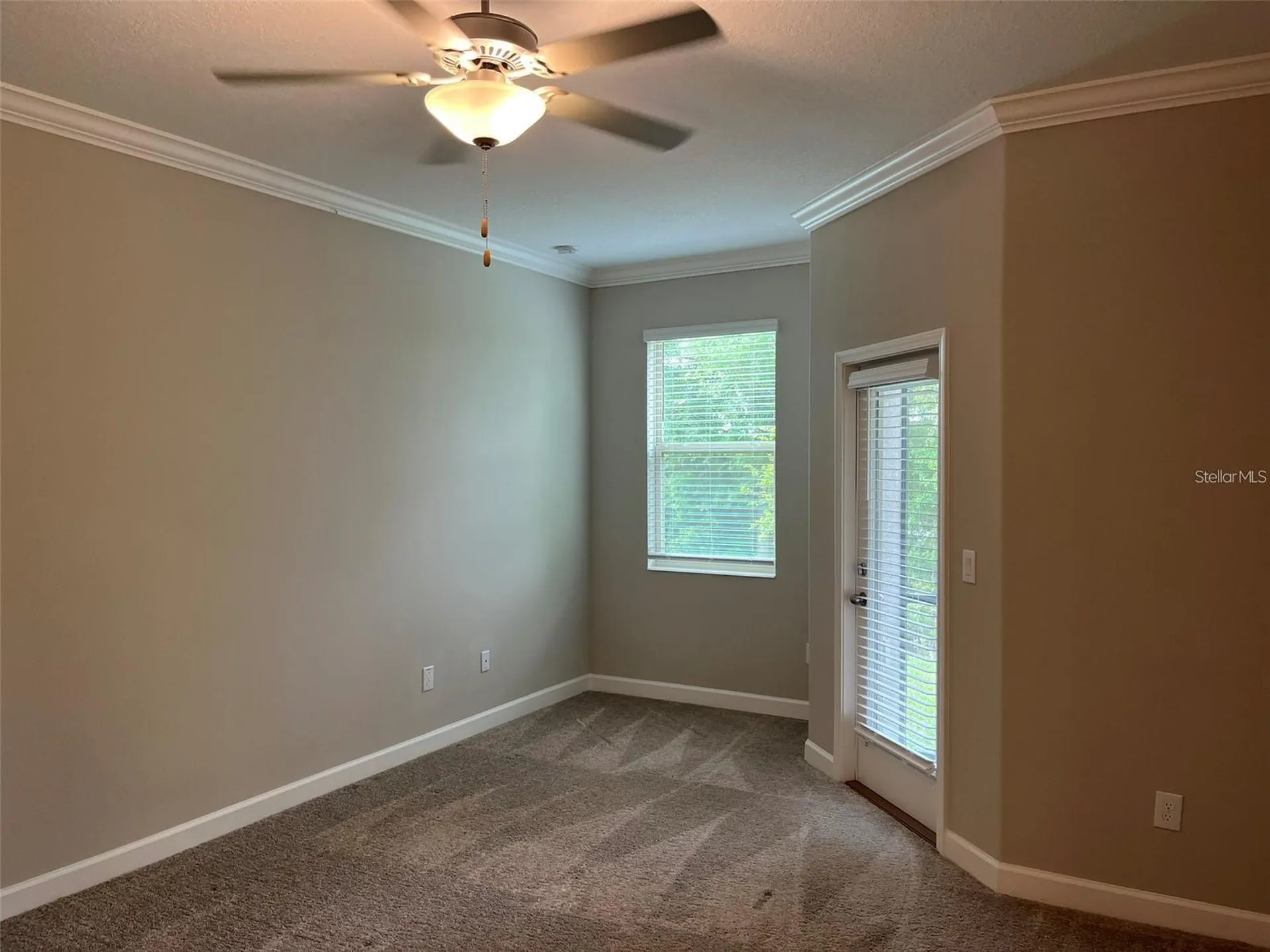 1712 Roseville Street Lutz FL 33549